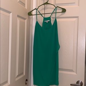 Naked Zebra Emerald Green dress